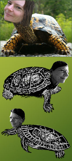 turtlehead photo, human head on turtle body